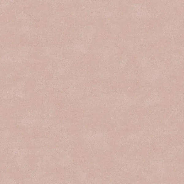 expo_p-3002-59941895-s_1.webp