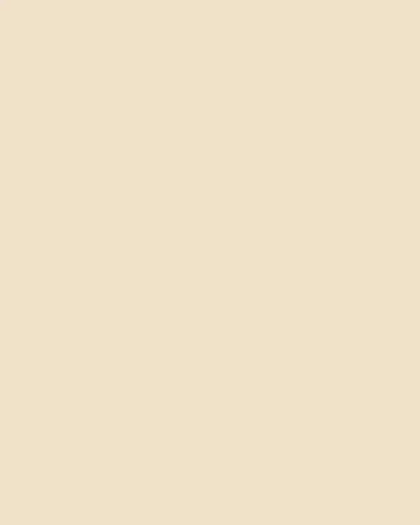 expo_p-3002-8173651430-s_3.webp