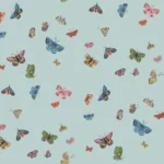 Butterfly House – Rifle 3