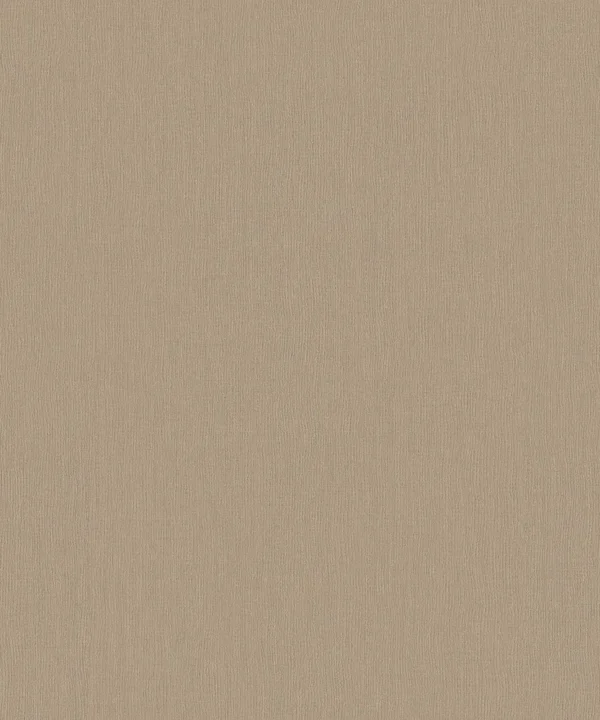 expo_p-3004-5780369826-s.webp