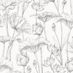 Lotus Black – Lotus