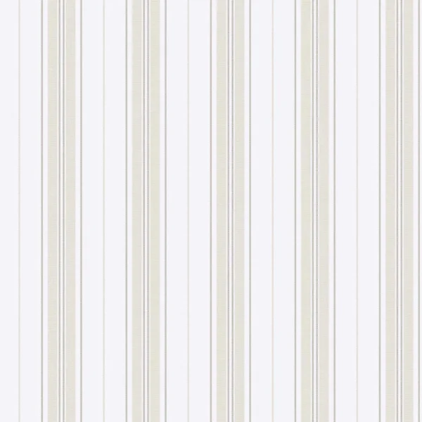 expo_p-3002-2422938847-s_1.webp