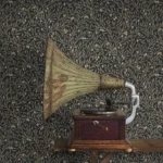 Olivträd | Boråstapeter