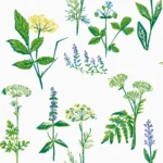 Lisbet Jobs Köksväxter | Boråstapeter