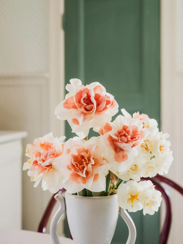 expo_p-3002-3429870145-s_6.webp