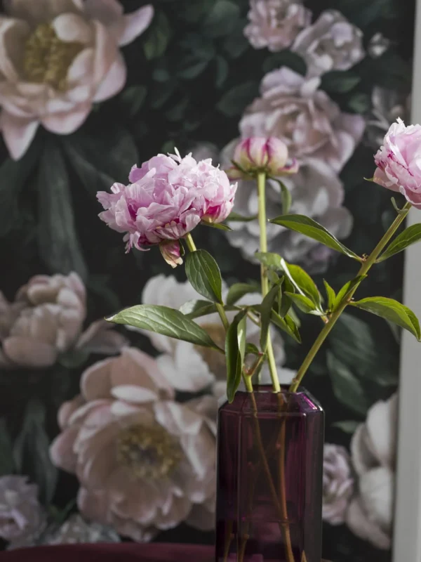 expo_p-3002-674921682-s_4.webp
