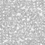 Viola Gråsten Romans | Boråstapeter