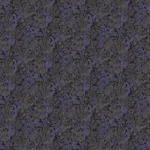 Onikar Amparo – Summer