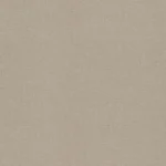 Denia Oyster – Colours