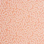 Coral Peach Blusch – Pioneer