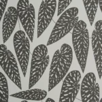 Tropics Nightfall – Seven Sisters