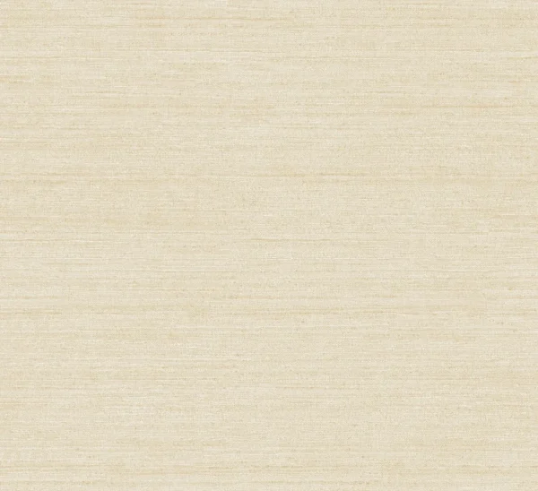 expo_p-3004-3188599413-s.webp