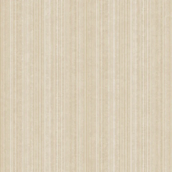 expo_p-3004-462159149-s.webp