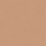 Rythm Camel – Colours