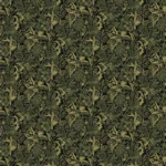 Onikar Ivy – Summer