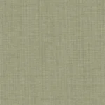 Orbit Farn – Colours