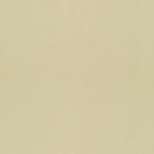 expo_p-3004-5356888167-s.webp