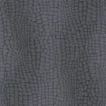 Panthera – Amazone