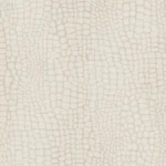 Panthera – Amazone