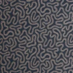 Coral Fossil – Pioneer