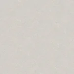 Manu Moonbeam – Tribute