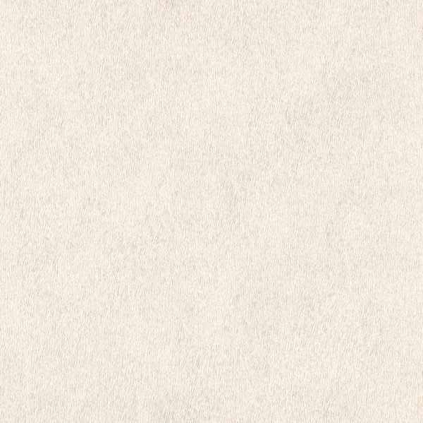 expo_p-3004-713102400-s.webp