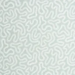 Coral Celestel – Pioneer