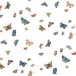 Butterfly House – Rifle 3
