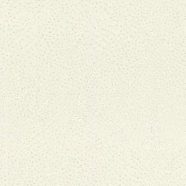 expo_p-3004-7874036485-s.webp